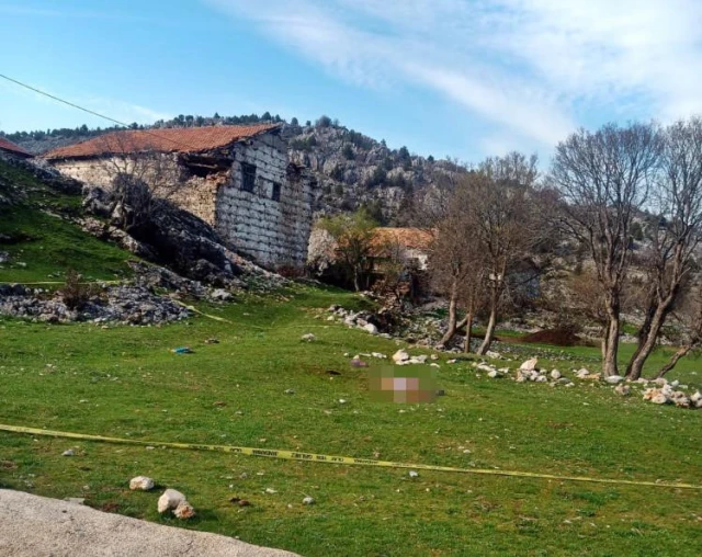 Türkiyədə çoban itlərinin hücumuna məruz qalan 82 yaşlı qadın vəfat etdi - FOTO