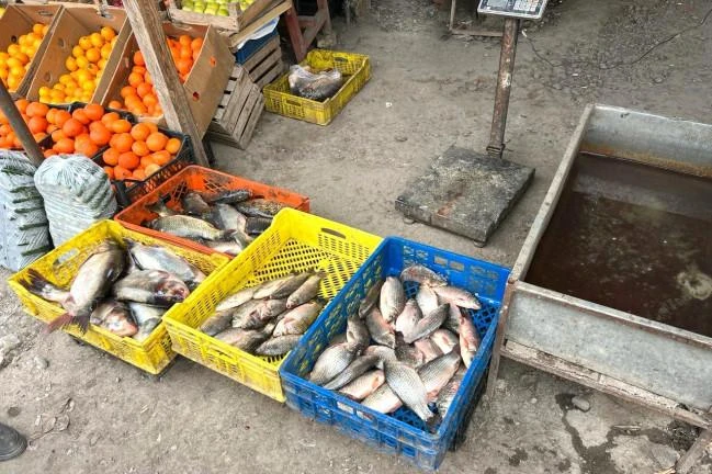 Tovuzda bazarda yoxlama aparıldı: Nöqsanlar aşkarlandı - FOTO