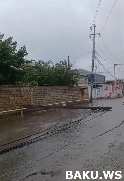 Сотрудники 