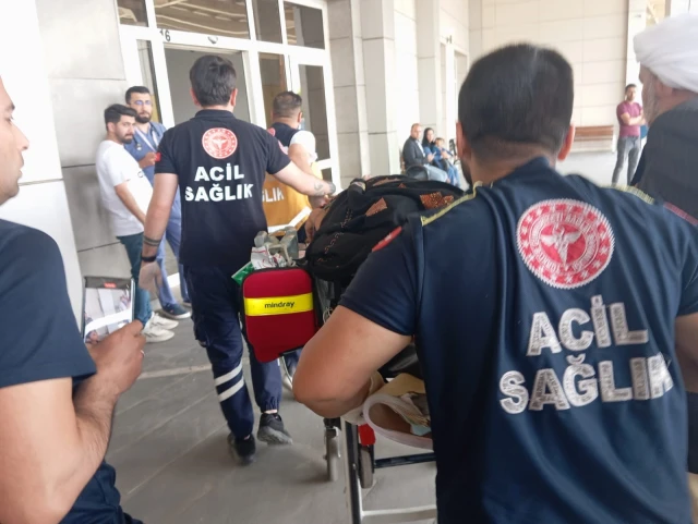 Toyda 44 yaşlı qadın güllələndi - FOTO/VİDEO