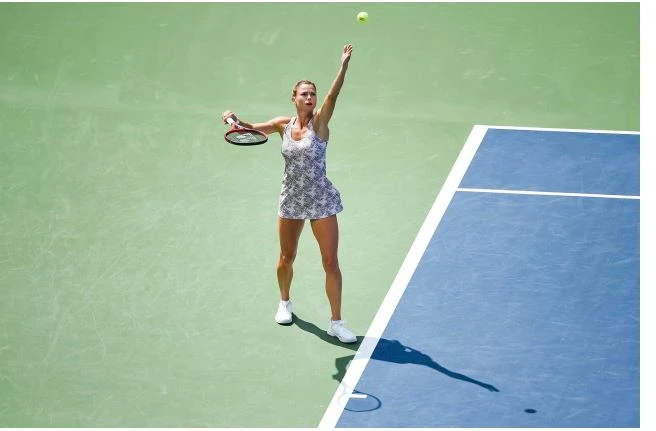 Karyerasını bitirən məşhur tennisçi oğurluq etdi - Polislər onu axtarır - FOTO