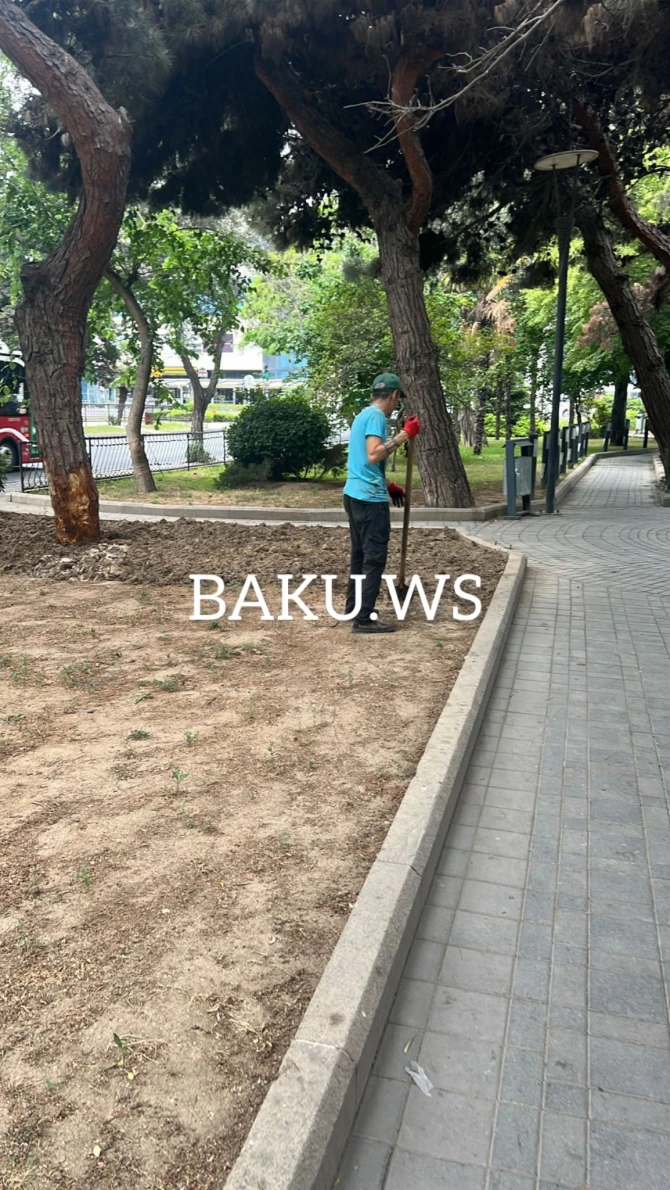 Skamyası olmayan parkın problemi BAKU.WS işıqlandırdıqdan sonra həll edilib - FOTO/VİDEO Skamyası olmayan parkın problemi BAKU.WS işıqlandırdıqdan sonra həll edilib - FOTO/VİDEO