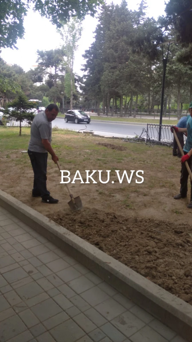 Skamyası olmayan parkın problemi BAKU.WS işıqlandırdıqdan sonra həll edilib - FOTO/VİDEO Skamyası olmayan parkın problemi BAKU.WS işıqlandırdıqdan sonra həll edilib - FOTO/VİDEO