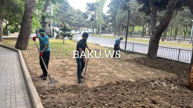Skamyası olmayan parkın problemi BAKU.WS işıqlandırdıqdan sonra həll edilib - FOTO/VİDEO Skamyası olmayan parkın problemi BAKU.WS işıqlandırdıqdan sonra həll edilib - FOTO/VİDEO