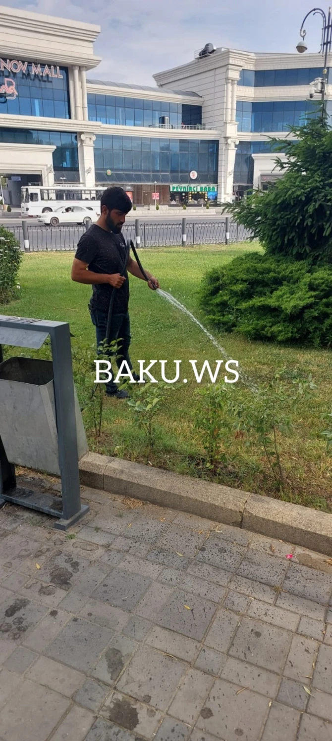 Skamyası olmayan parkın problemi BAKU.WS işıqlandırdıqdan sonra həll edilib - FOTO/VİDEO Skamyası olmayan parkın problemi BAKU.WS işıqlandırdıqdan sonra həll edilib - FOTO/VİDEO