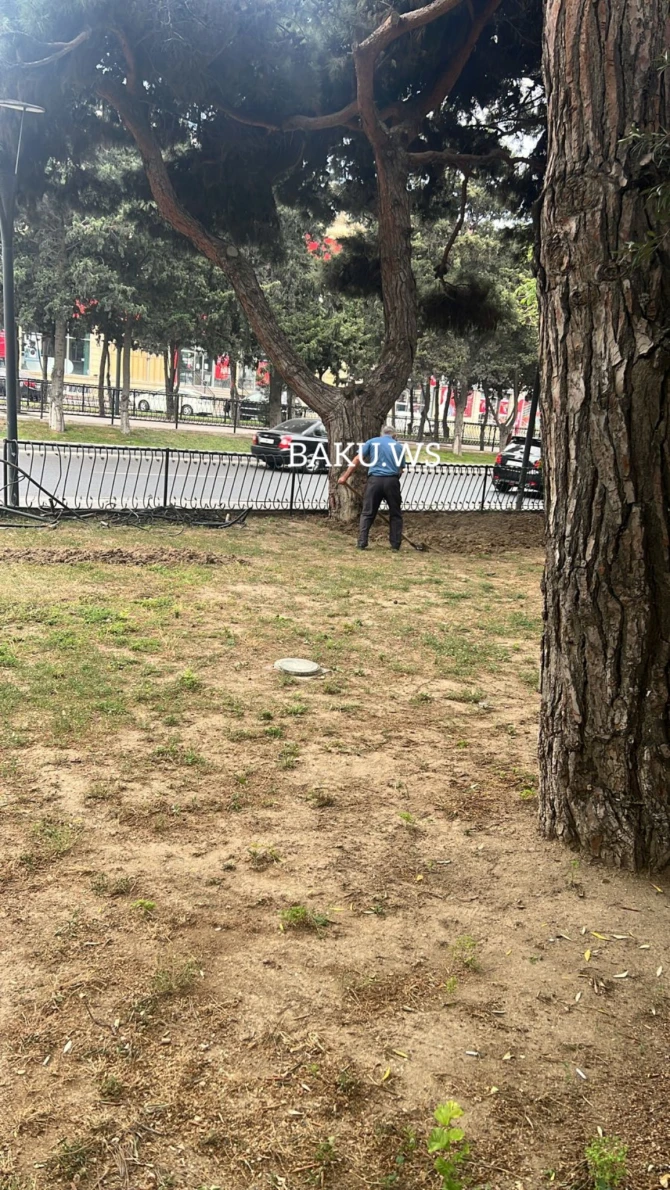 Skamyası olmayan parkın problemi BAKU.WS işıqlandırdıqdan sonra həll edilib - FOTO/VİDEO Skamyası olmayan parkın problemi BAKU.WS işıqlandırdıqdan sonra həll edilib - FOTO/VİDEO