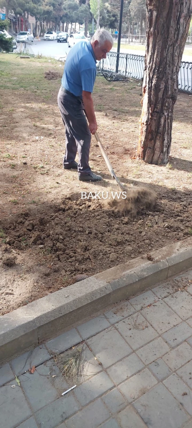 Skamyası olmayan parkın problemi BAKU.WS işıqlandırdıqdan sonra həll edilib - FOTO/VİDEO Skamyası olmayan parkın problemi BAKU.WS işıqlandırdıqdan sonra həll edilib - FOTO/VİDEO