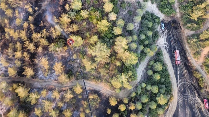 Adanada meşə yanğını başlayıb, təyyarə və helikopter cəlb olunub - FOTO