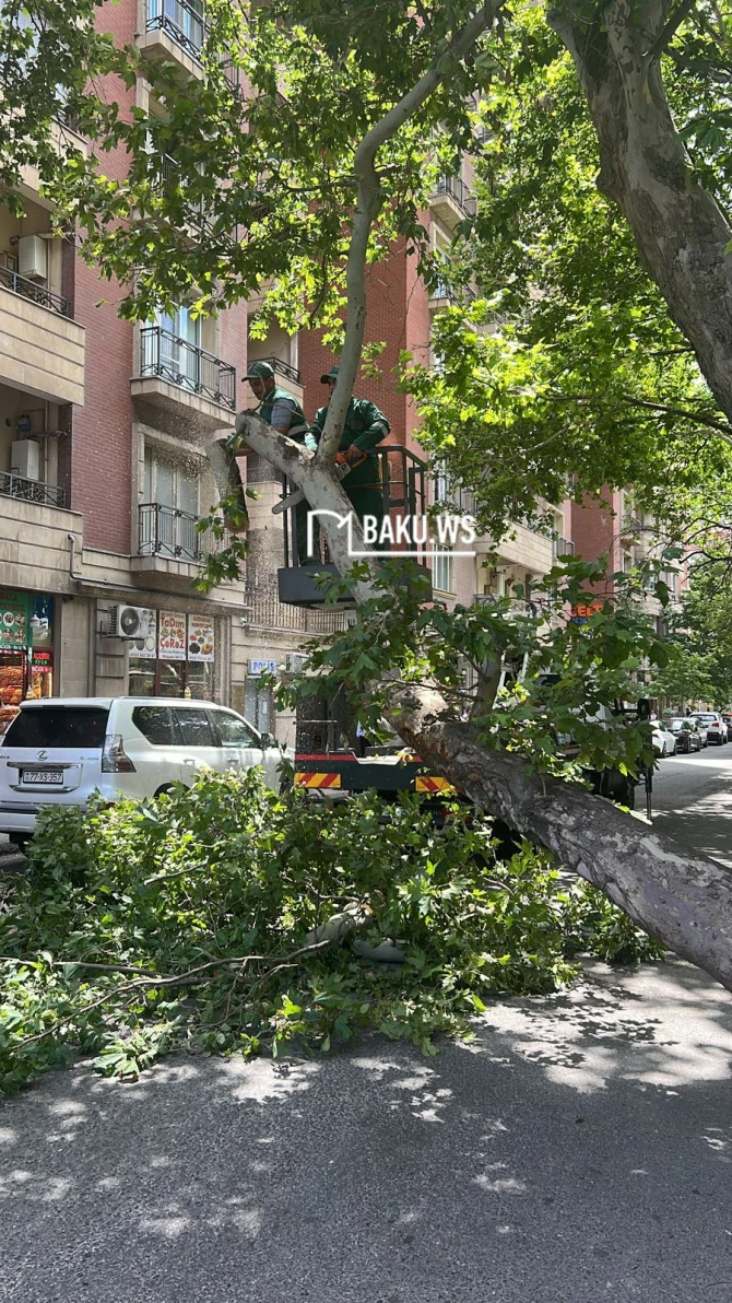 BAKU.WS işıqlandırdı, problem öz həlli tapdı - FOTO/VİDEO - YENİLƏNİB