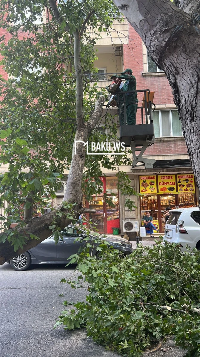 BAKU.WS işıqlandırdı, problem öz həlli tapdı - FOTO/VİDEO - YENİLƏNİB