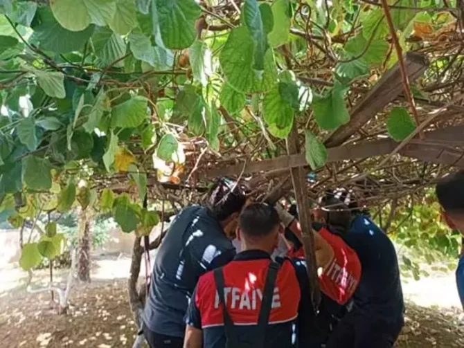 Türkiyədə möcüzə - Beşinci mərtəbədən yıxılan uşağın burnu belə qanamadı - FOTO