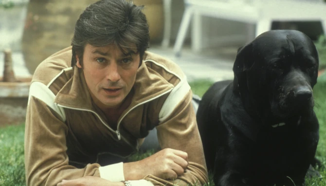 Alen Delon itləri ilə dəfn olunacaq Alen Delon itləri ilə dəfn olunacaq