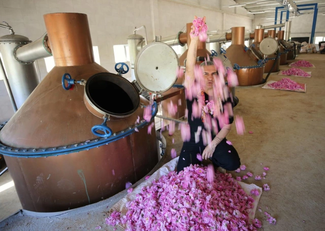 Məşhur müğənni evlərini və maşınlarını satıb, kənddə 10 milyona zavod açdı