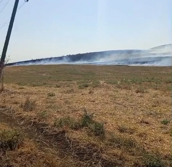 Dörd rayonda yanğına səbəb olan şəxslər məsuliyyətə cəlb olunublar