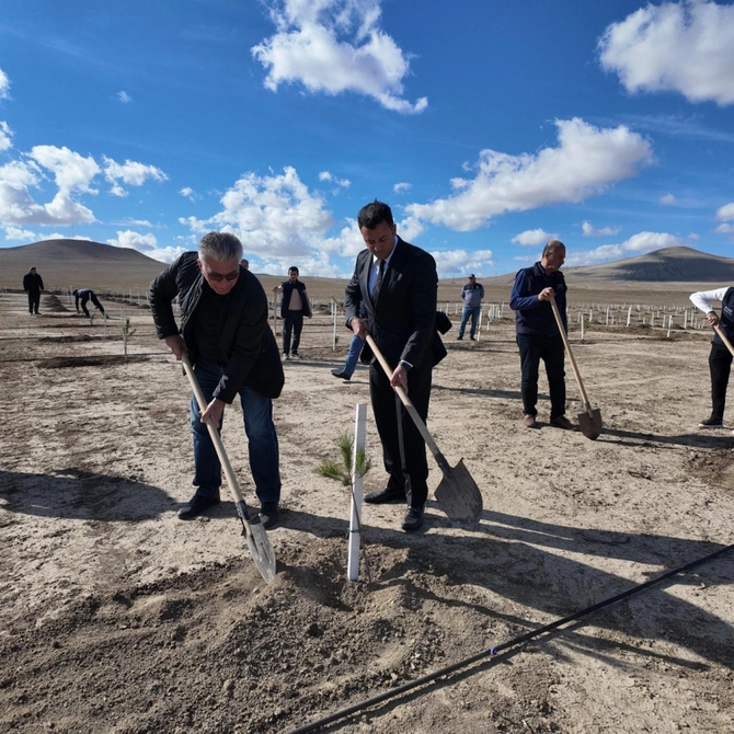 Nazirlik Zəfər Gününə həsr olunmuş ağacəkmə aksiyası keçirib Nazirlik Zəfər Gününə həsr olunmuş ağacəkmə aksiyası keçirib