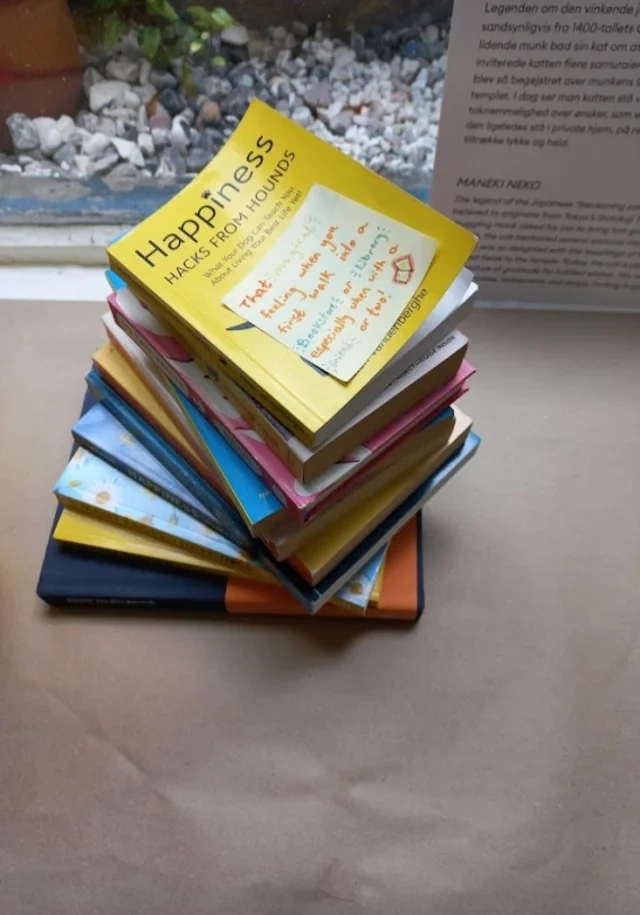 Divarlarına xoşbəxtliyin sirlərinin yazıldığı muzeydən REPORTAJ