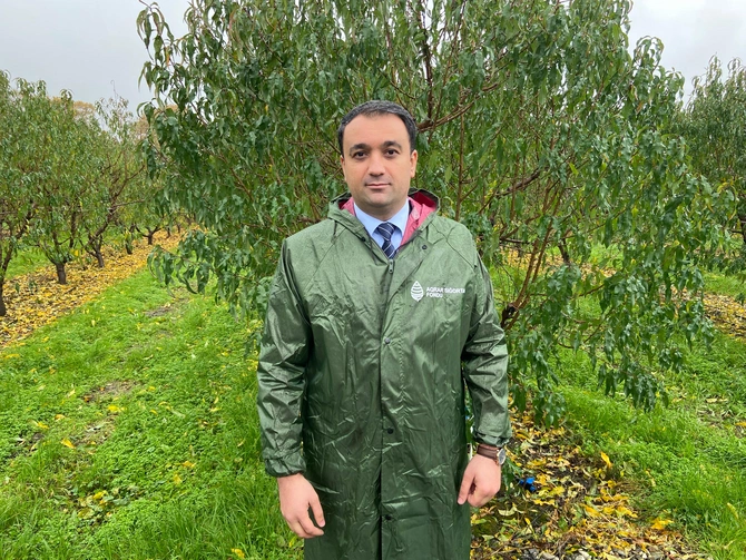 Dövlət tərəfindən bu şəxslərə YENİ GÜZƏŞT - Yalnız yarısını ödəyəcəklər