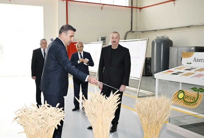 Sabirabad Sənaye Məhəlləsində toxum istehsalı müəssisəsinin fəaliyyəti ilə tanışlıq Sabirabad Sənaye Məhəlləsində toxum istehsalı müəssisəsinin fəaliyyəti ilə tanışlıq
