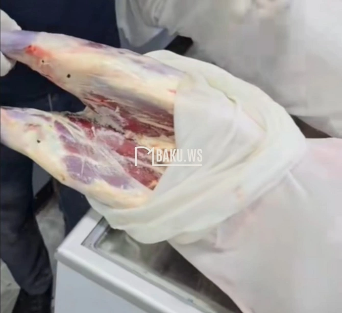 Azərbaycanın ət aldığı Monqolustanla bağlı ŞOK RƏQƏMLƏR