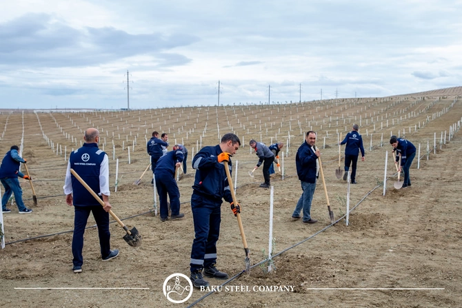 Baku Steel Company ətraf mühitin mühafizəsinə töhfəsini gücləndirir: təxminən 3000 ağac əkilib Baku Steel Company ətraf mühitin mühafizəsinə töhfəsini gücləndirir: təxminən 3000 ağac əkilib