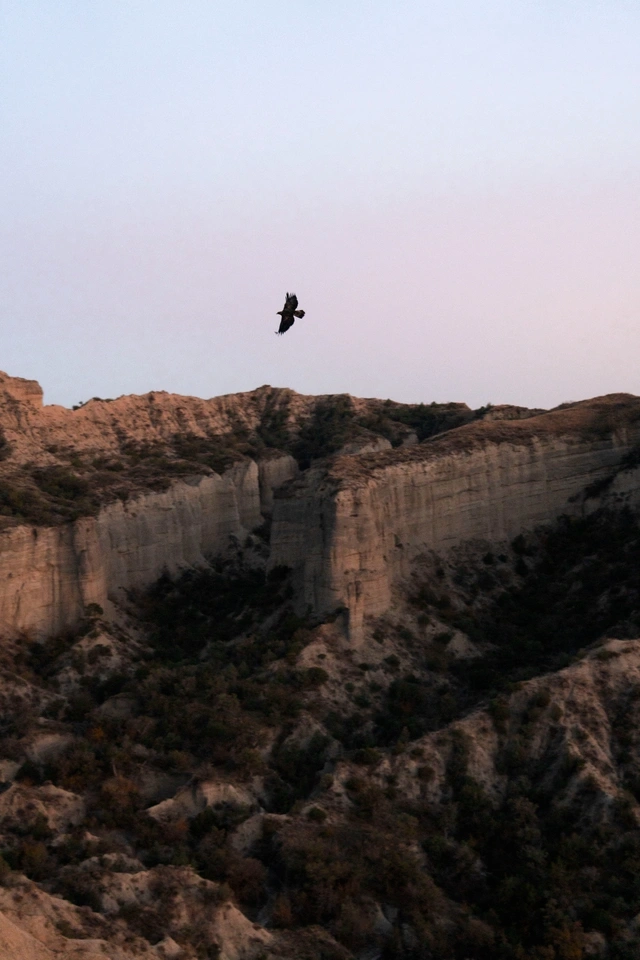 Leyla Əliyeva və Arzu Əliyeva Qaxda Axar-Baxar Milli Parkının açılış mərasimində iştirak ediblər Leyla Əliyeva və Arzu Əliyeva Qaxda Axar-Baxar Milli Parkının açılış mərasimində iştirak ediblər
