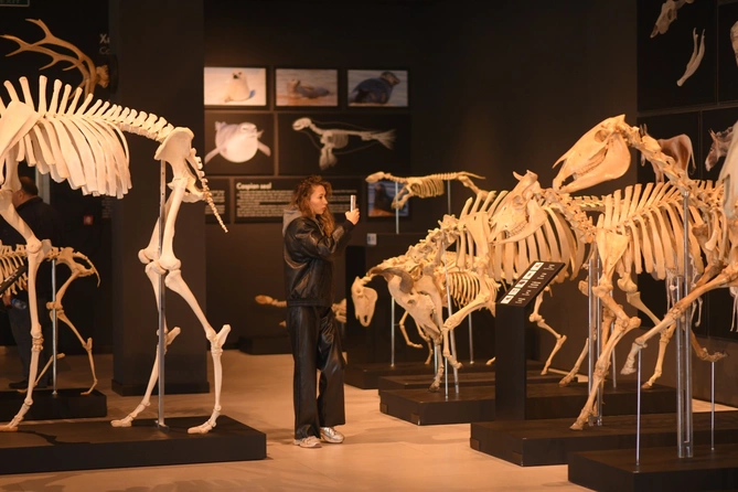 DTA tabeliyindəki qoruq və müəssisələrdəki yeniliklər təqdim olunub DTA tabeliyindəki qoruq və müəssisələrdəki yeniliklər təqdim olunub