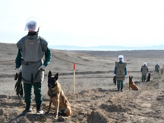 Mina təhlükəsi: Humanitar böhran, sosial-iqtisadi çağırış və beynəlxalq əməkdaşlıq zərurəti - TƏHLİL