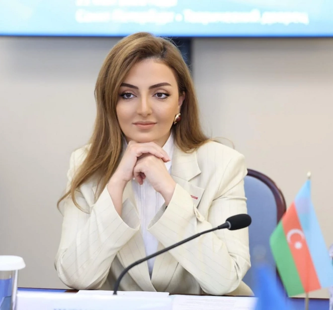 Sosial şəbəkələrlə bağlı tənzimləmələr uşaqları rəqəmsal təhlükələrdən qorumağa yönəlib - RƏY