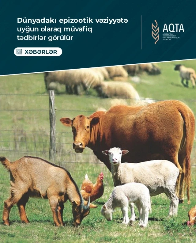 АПБА вводит ограничения на импорт в Азербайджан из нескольких стран - ПРИЧИНА