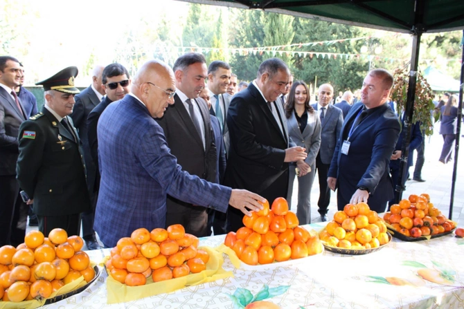 DTX tərəfindən saxlanılan icra başçısının son GÖRÜNTÜLƏRİ DTX tərəfindən saxlanılan icra başçısının son GÖRÜNTÜLƏRİ