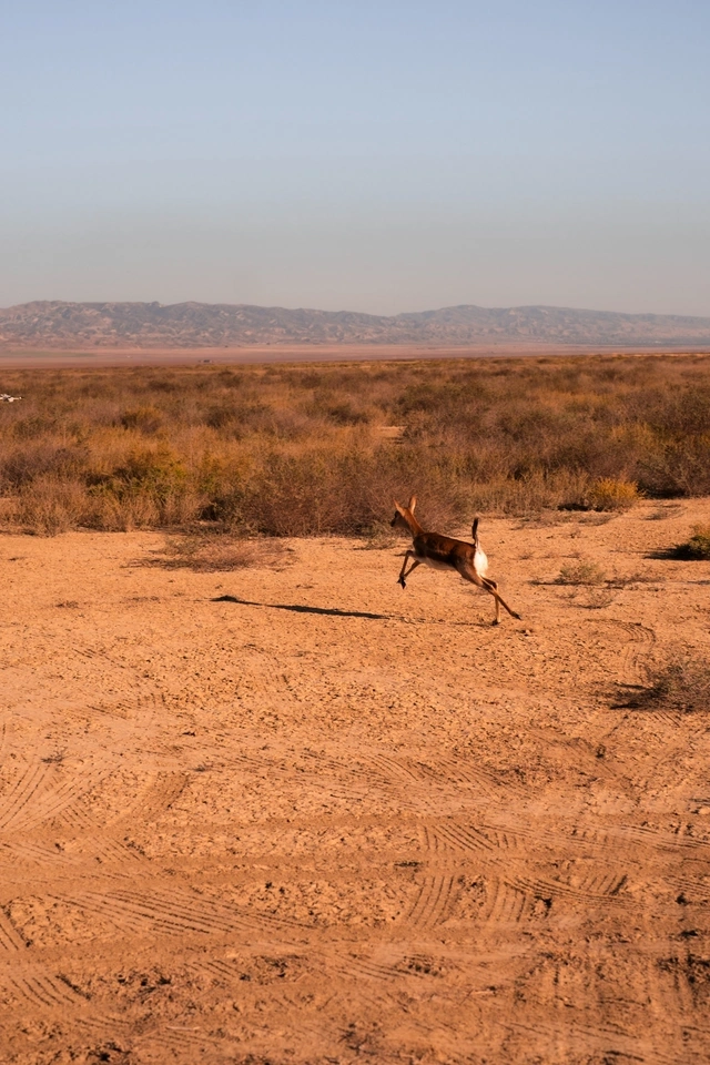 Leyla Əliyeva və Arzu Əliyeva Qaxda Axar-Baxar Milli Parkının açılış mərasimində iştirak ediblər Leyla Əliyeva və Arzu Əliyeva Qaxda Axar-Baxar Milli Parkının açılış mərasimində iştirak ediblər