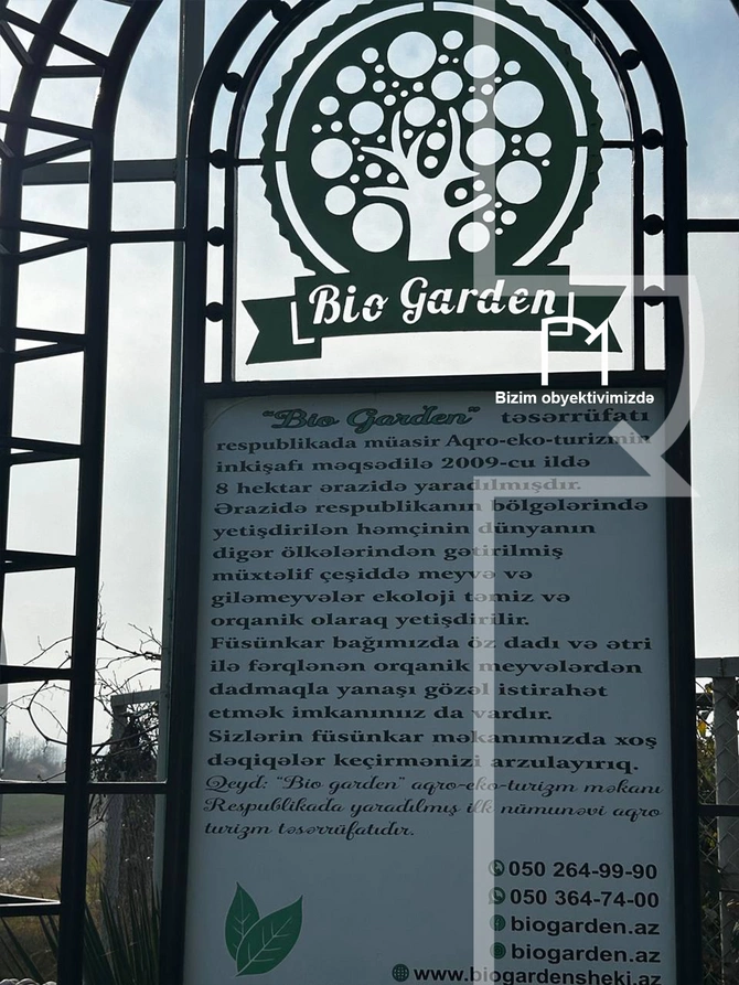 Halvaçılığdan ipəkçiliyə, tarixin rəngli pəncərələrinə - Şəki SƏFƏRİ