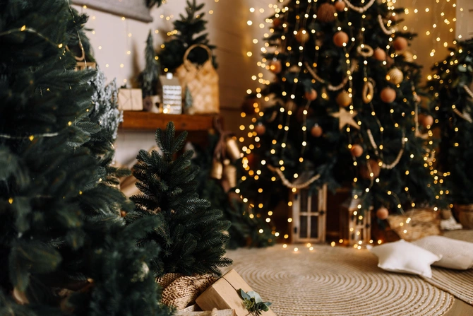 2026-cı ildə şans, pul və sevgini özümüzə necə cəlb edək? - DETALLAR