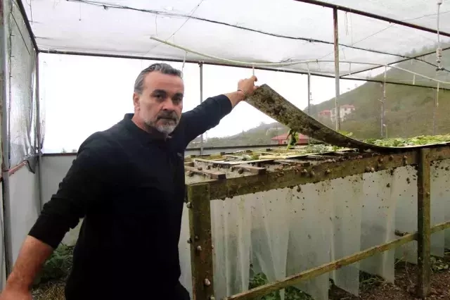 Kəşf etdiyi heyvan həyatını dəyişdi - 3000 avro qazanır