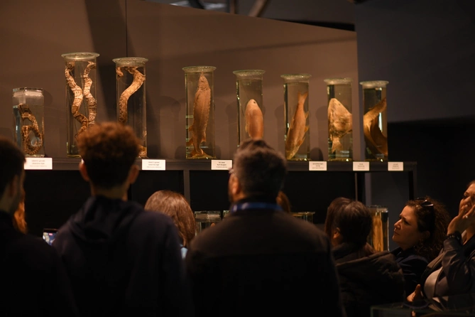 DTA tabeliyindəki qoruq və müəssisələrdəki yeniliklər təqdim olunub DTA tabeliyindəki qoruq və müəssisələrdəki yeniliklər təqdim olunub