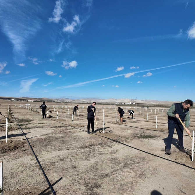 Nazirlik Zəfər Gününə həsr olunmuş ağacəkmə aksiyası keçirib Nazirlik Zəfər Gününə həsr olunmuş ağacəkmə aksiyası keçirib