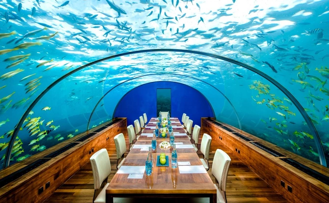 Ayaqyolu, xəstəxana konseptli RESTORANLAR - SİYAHI