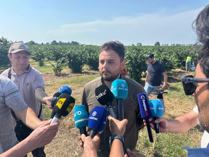 Dövlət dəstəyi şimal bölgəsində aqrar inkişafı necə dəyişir? – REPORTAJ