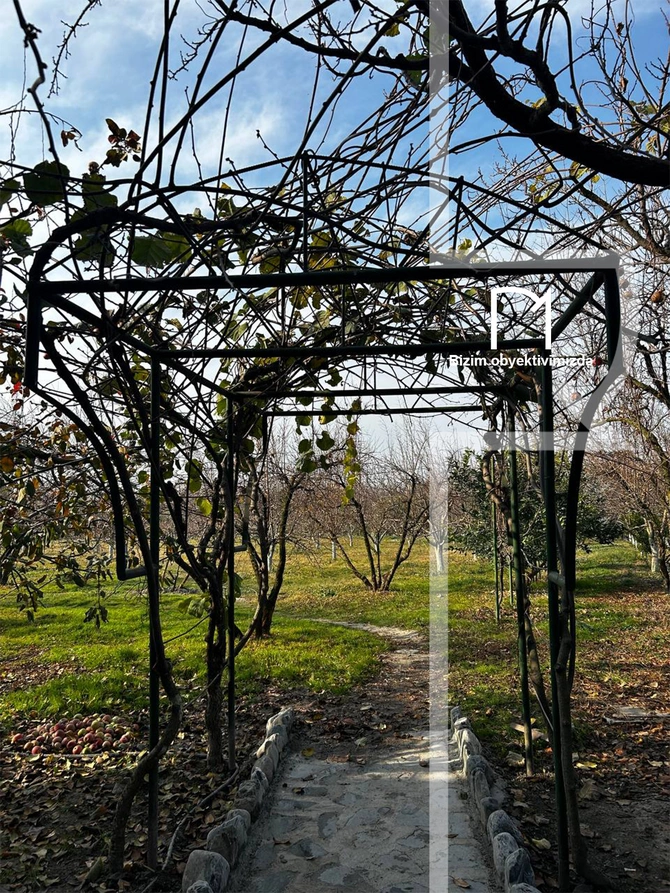 Halvaçılığdan ipəkçiliyə, tarixin rəngli pəncərələrinə - Şəki SƏFƏRİ