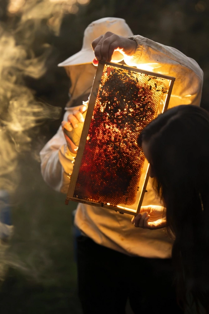 Leyla Əliyeva Qəbələdə "Gənc arıçı" layihəsinin iştirakçısı ilə görüşüb Leyla Əliyeva Qəbələdə "Gənc arıçı" layihəsinin iştirakçısı ilə görüşüb