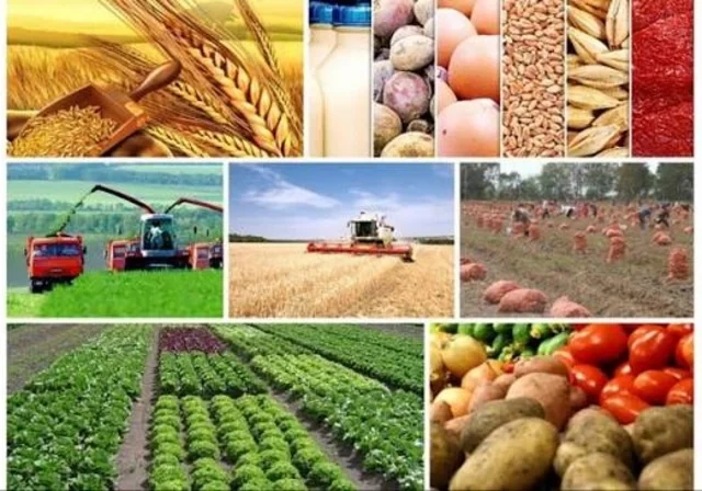 Azərbaycan iqtisadiyyatında DİQQƏTÇƏKƏN RƏQƏMLƏR: Gəlirlər artır, xarici borc azalır