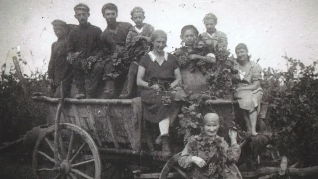 Германия-Азербайджан: гуманитарные связи и исторические традиции - LONGREAD