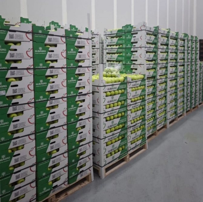 В партии яблок для экспорта в Турцию обнаружено превышение пестицидов В партии яблок для экспорта в Турцию обнаружено превышение пестицидов