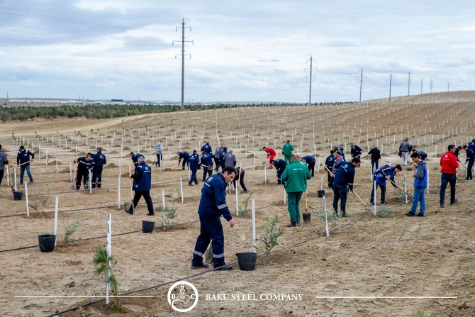 Baku Steel Company ətraf mühitin mühafizəsinə töhfəsini gücləndirir: təxminən 3000 ağac əkilib Baku Steel Company ətraf mühitin mühafizəsinə töhfəsini gücləndirir: təxminən 3000 ağac əkilib