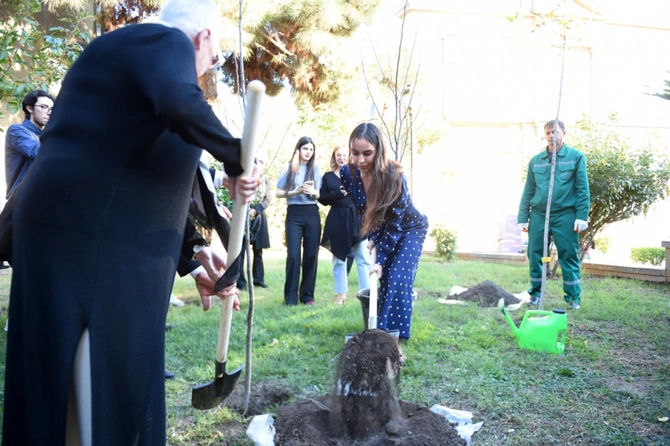 "ART Weekend" çərçivəsində "Püstə: canlı irs" performansı təqdim edilib "ART Weekend" çərçivəsində "Püstə: canlı irs" performansı təqdim edilib