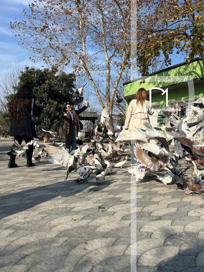 Halvaçılığdan ipəkçiliyə, tarixin rəngli pəncərələrinə - Şəki SƏFƏRİ