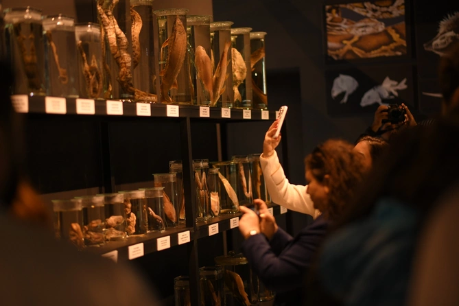 DTA tabeliyindəki qoruq və müəssisələrdəki yeniliklər təqdim olunub DTA tabeliyindəki qoruq və müəssisələrdəki yeniliklər təqdim olunub