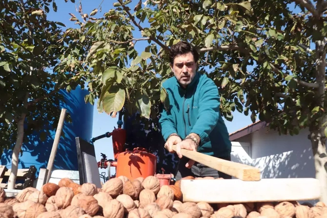 Kəndə köçüb, banka bağlayıb, toyuq saxlayan MƏŞHURLAR - SİYAHI