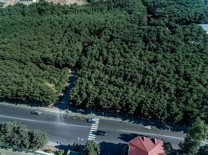 Bakıda daha bir ərazidə yeni yol çəkiləcək - Tıxacları aradan qaldıracaq
