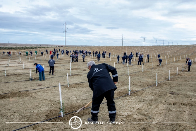 Baku Steel Company ətraf mühitin mühafizəsinə töhfəsini gücləndirir: təxminən 3000 ağac əkilib Baku Steel Company ətraf mühitin mühafizəsinə töhfəsini gücləndirir: təxminən 3000 ağac əkilib